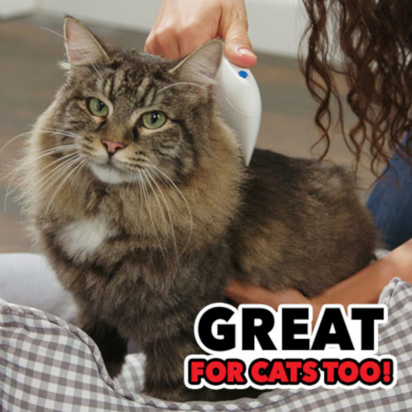 Find, Kill & Remove Pesky Fleas In Minutes--Imported from the United States--Flea Doctorâ„¢