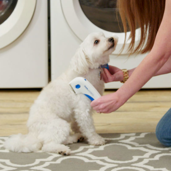 Find, Kill & Remove Pesky Fleas In Minutes--Imported from the United States--Flea Doctorâ„¢