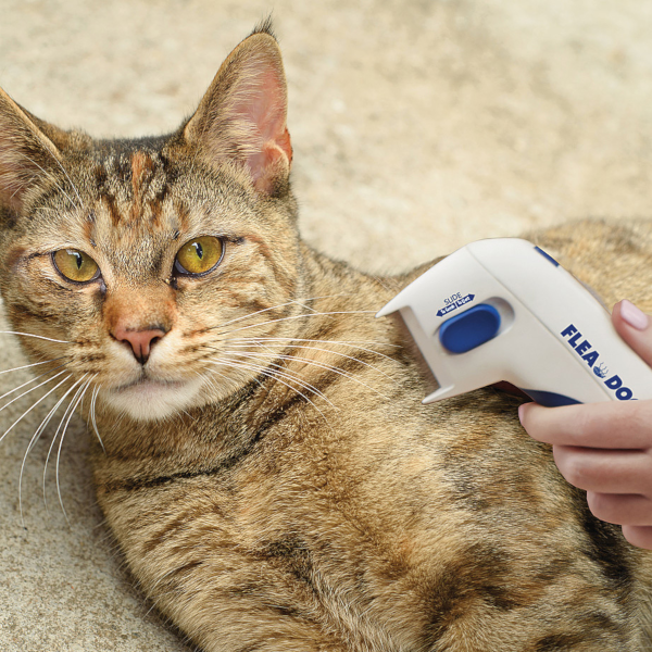 Find, Kill & Remove Pesky Fleas In Minutes--Imported from the United States--Flea Doctorâ„¢