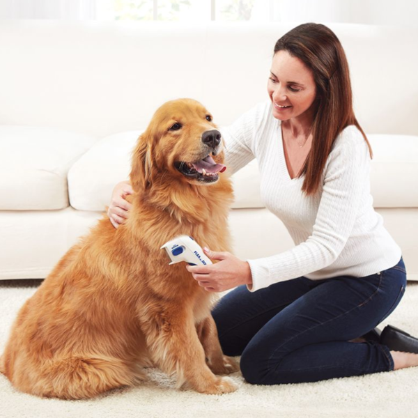 Find, Kill & Remove Pesky Fleas In Minutes--Imported from the United States--Flea Doctorâ„¢